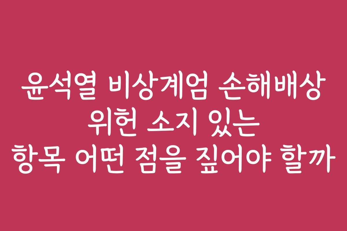 윤석열 비상계엄 손해배상 위헌 소지 있는 항목 어떤 점을 짚어야 할까