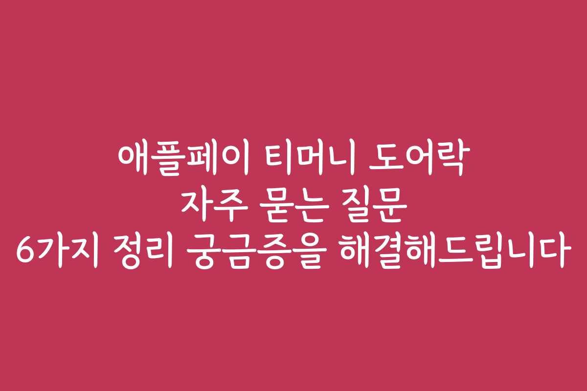 애플페이 티머니 도어락 자주 묻는 질문 6가지 정리 궁금증을 해결해드립니다