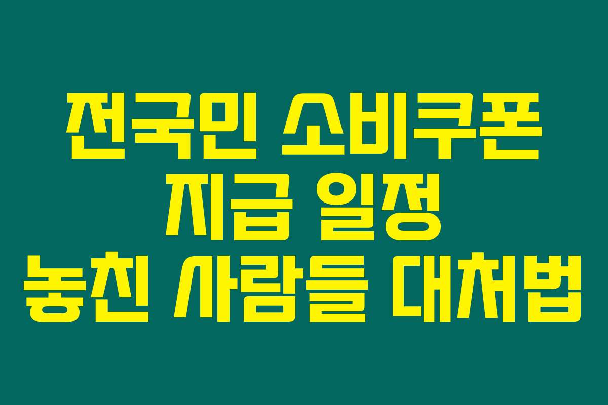 전국민 소비쿠폰 지급 일정 놓친 사람들 대처법