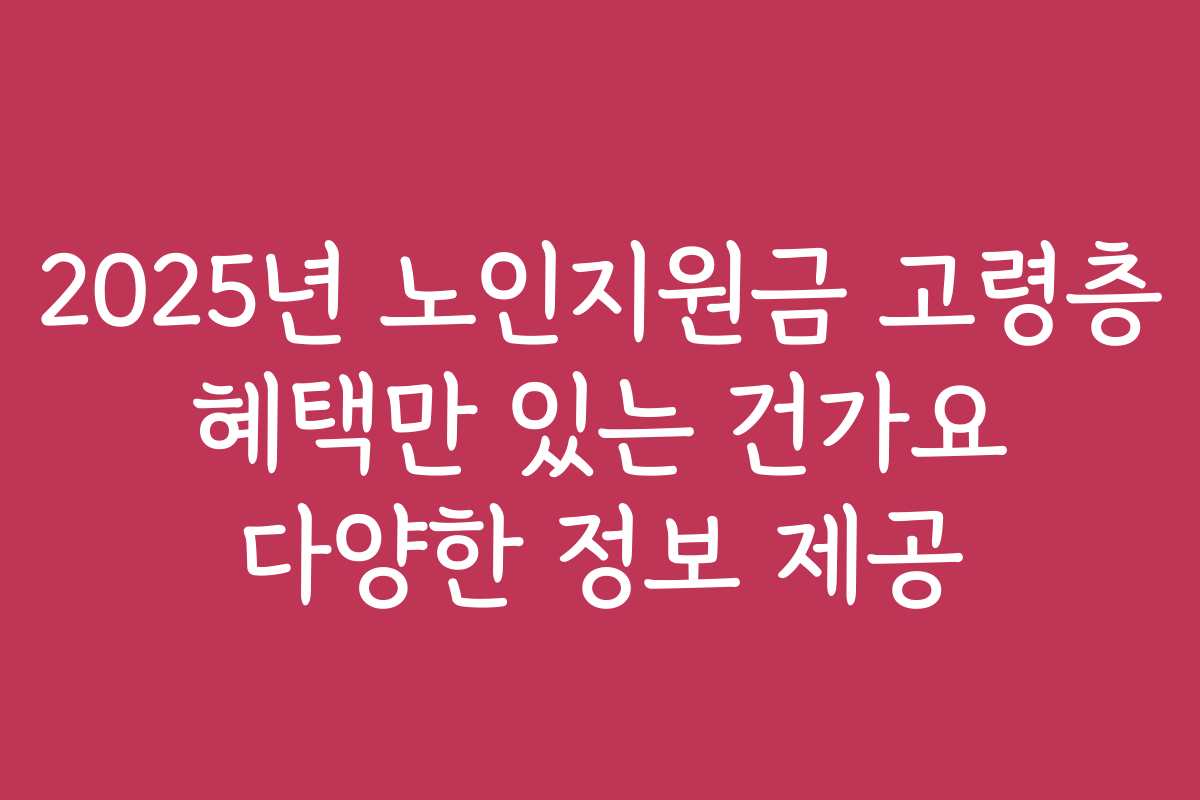 2025년 노인지원금 고령층 혜택만 있는 건가요 다양한 정보 제공