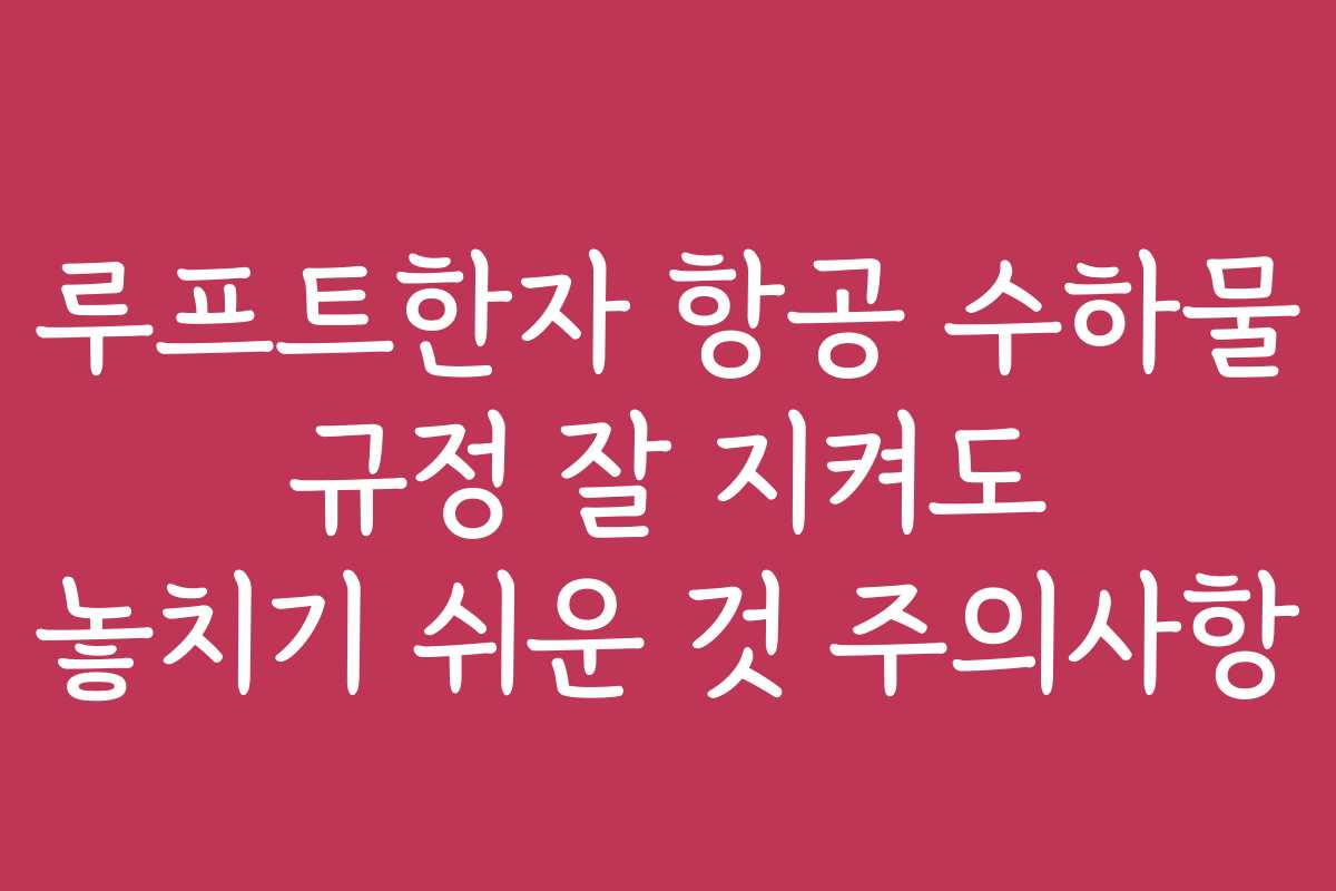 루프트한자 항공 수하물 규정 잘 지켜도 놓치기 쉬운 것 주의사항