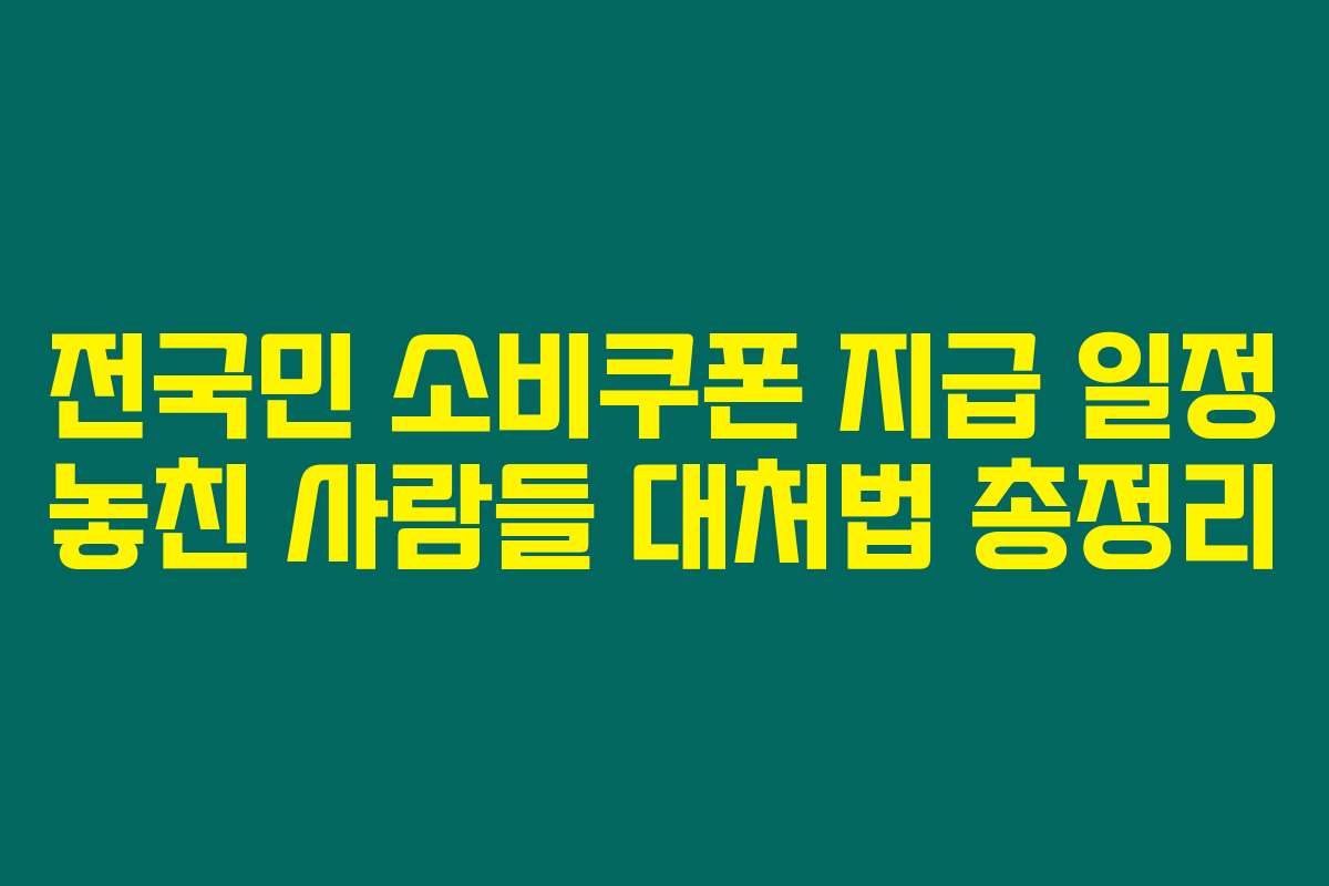전국민 소비쿠폰 지급 일정 놓친 사람들 대처법 총정리