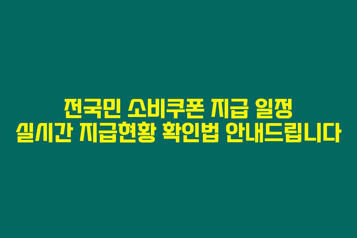 전국민 소비쿠폰 지급 일정 실시간 지급현황 확인법 안내드립니다