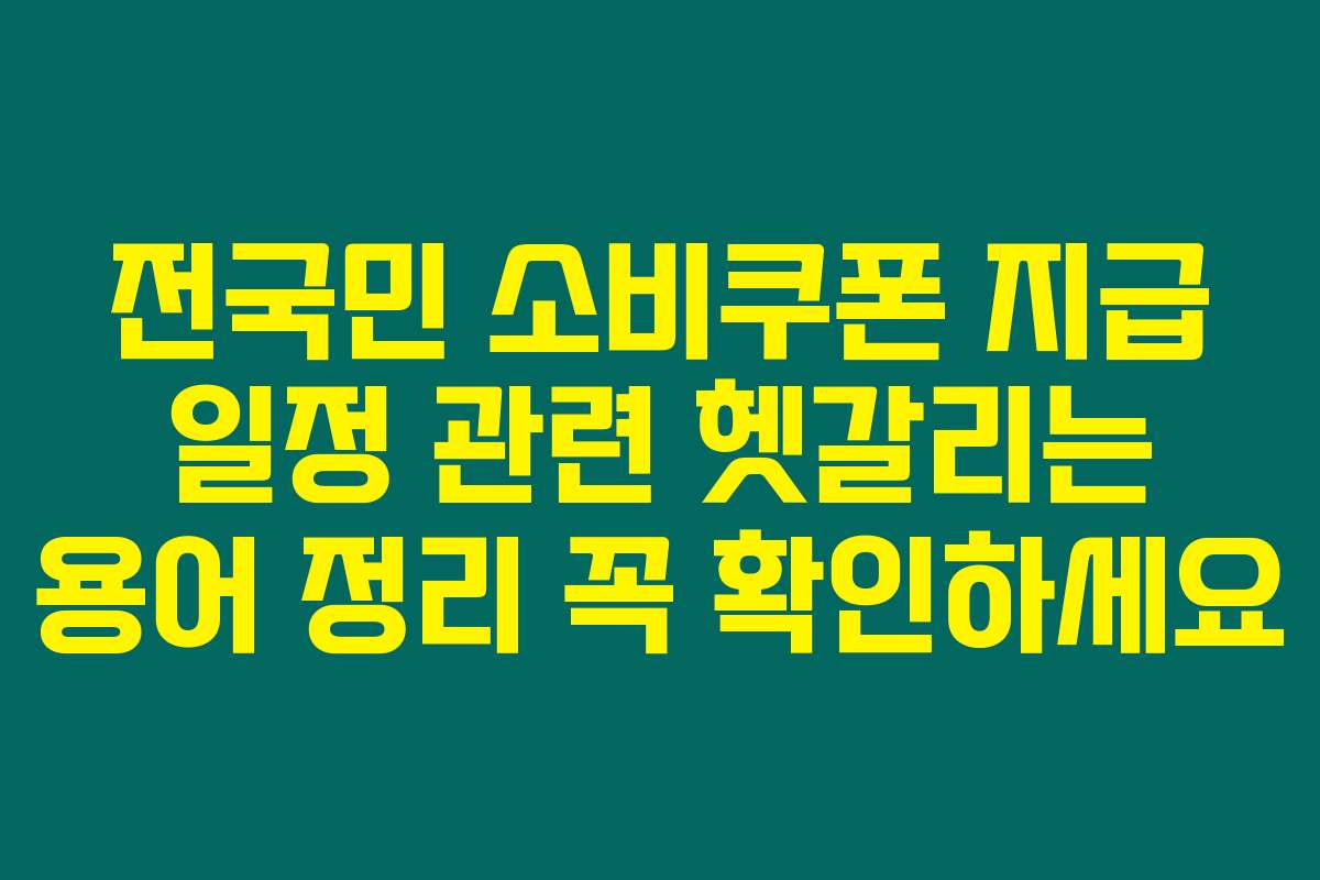 전국민 소비쿠폰 지급 일정 관련 헷갈리는 용어 정리 꼭 확인하세요