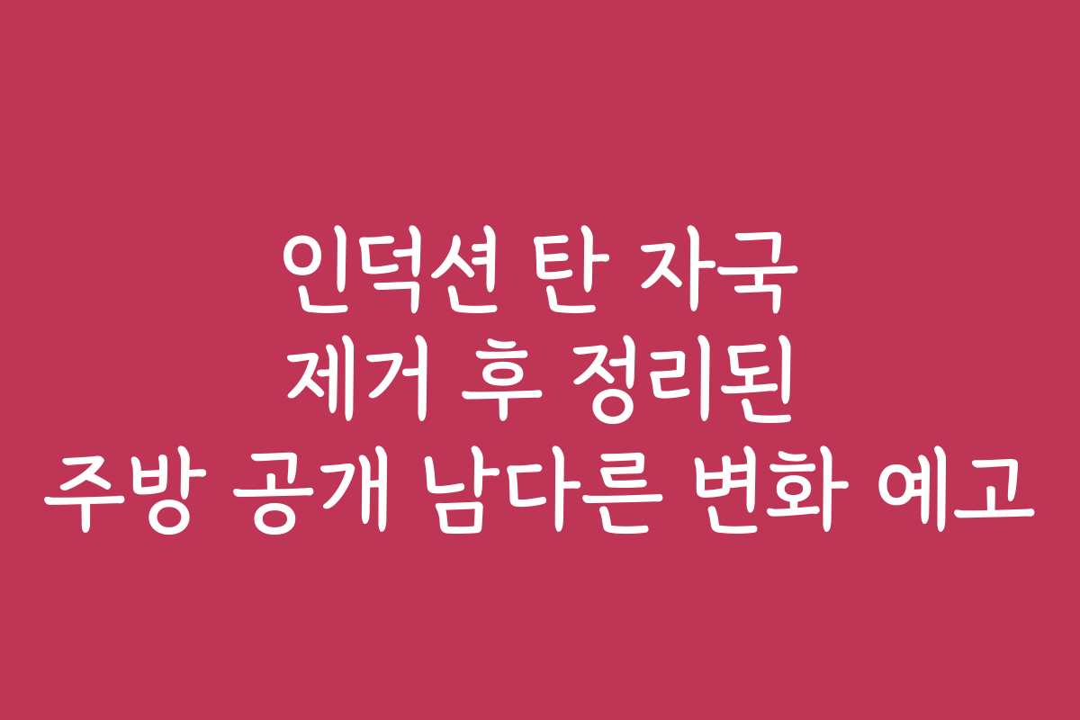 인덕션 탄 자국 제거 후 정리된 주방 공개 남다른 변화 예고