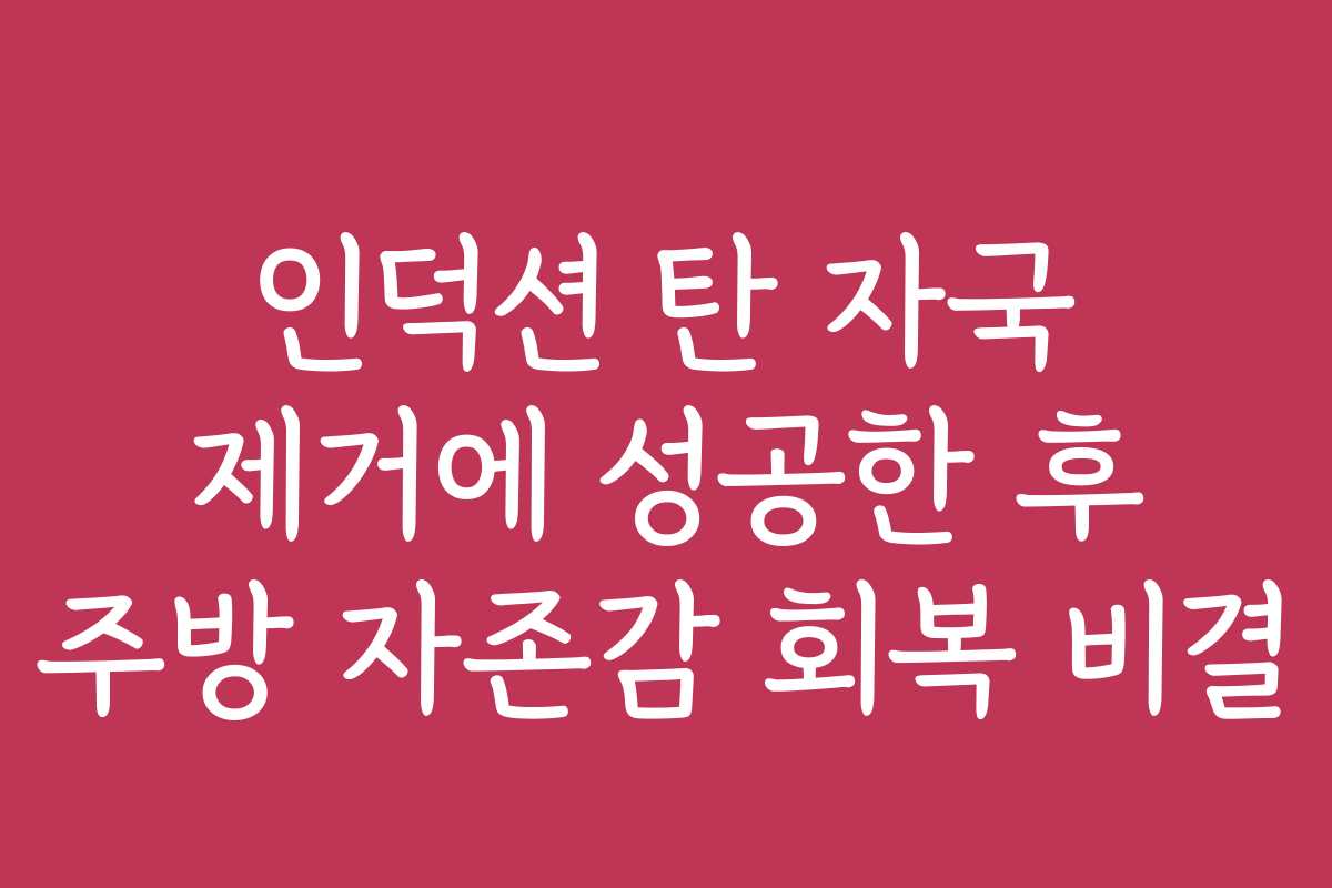 인덕션 탄 자국 제거에 성공한 후 주방 자존감 회복 비결