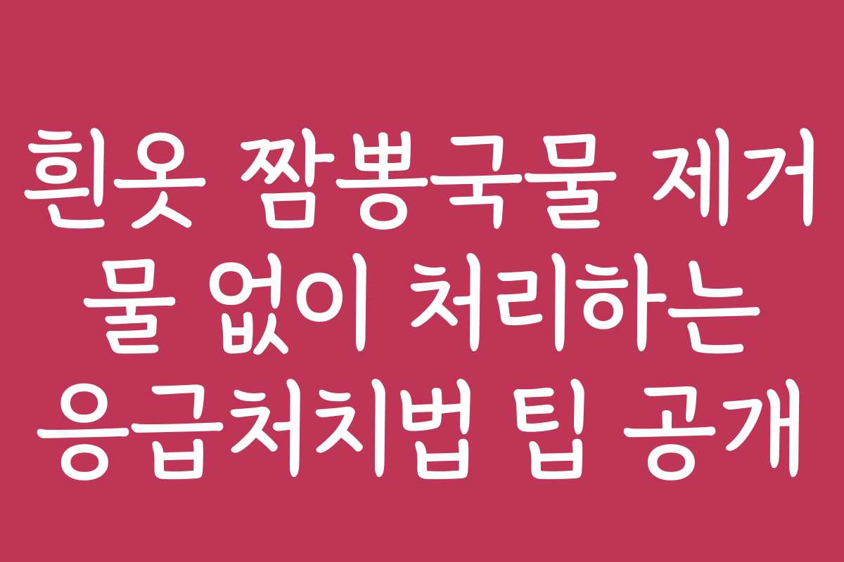 흰옷 짬뽕국물 제거 물 없이 처리하는 응급처치법 팁 공개