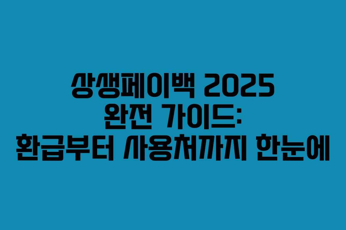상생페이백 2025 완전 가이드: 환급부터 사용처까지 한눈에