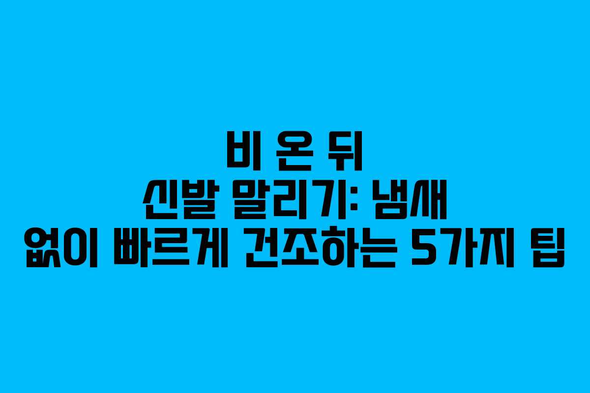 비 온 뒤 신발 말리기: 냄새 없이 빠르게 건조하는 5가지 팁