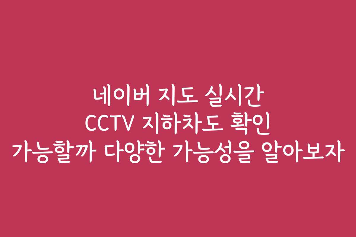 네이버 지도 실시간 CCTV 지하차도 확인 가능할까 다양한 가능성을 알아보자