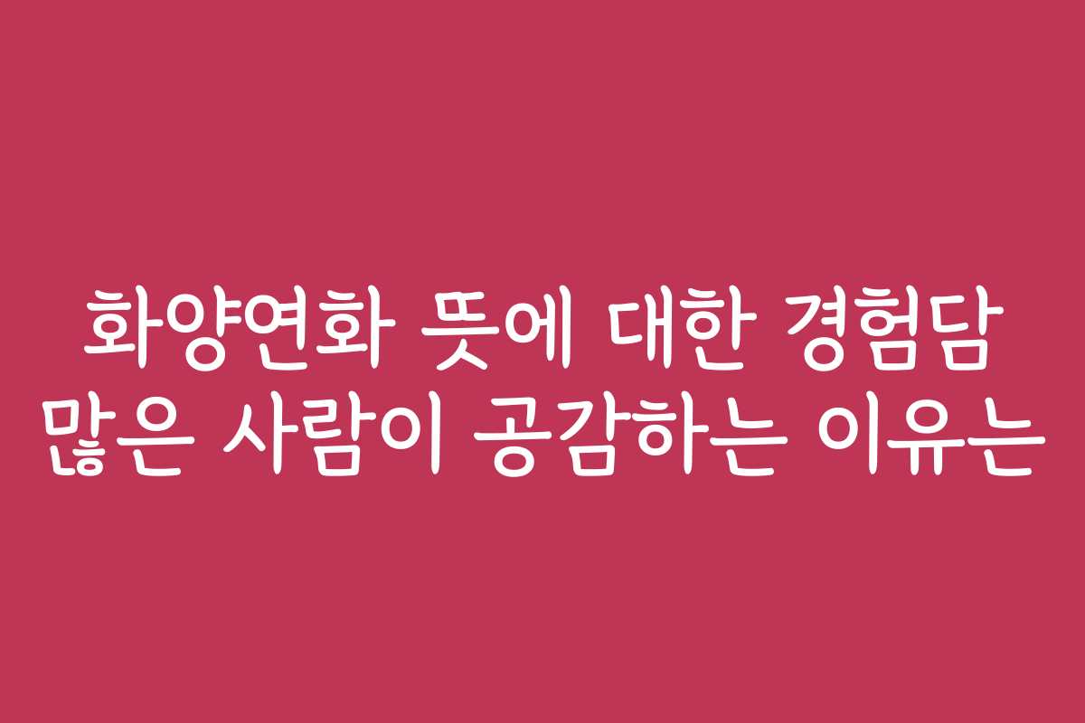 화양연화 뜻에 대한 경험담 많은 사람이 공감하는 이유는