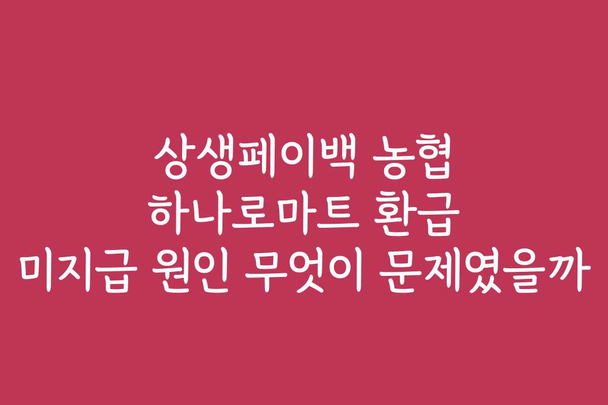 상생페이백 농협 하나로마트 환급 미지급 원인 무엇이 문제였을까