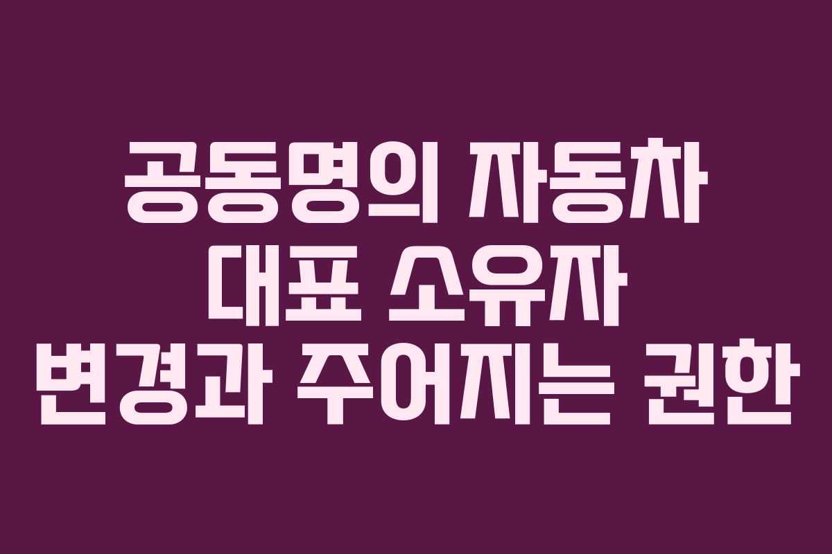 공동명의 자동차 대표 소유자 변경과 주어지는 권한