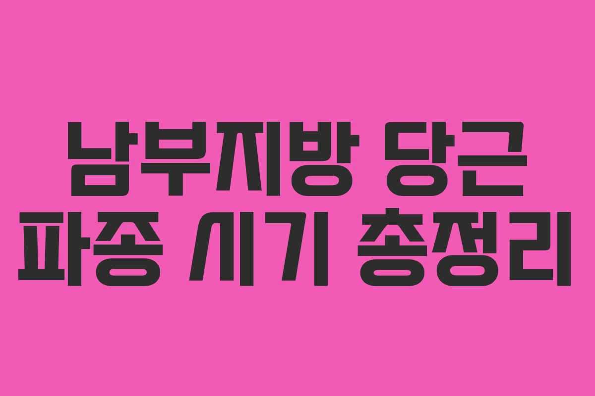 남부지방 당근 파종 시기 총정리