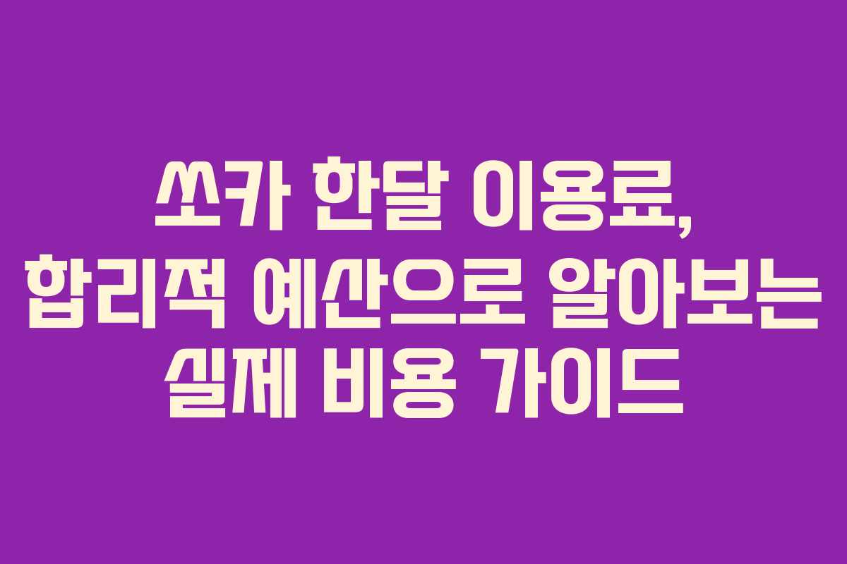 쏘카 한달 이용료, 합리적 예산으로 알아보는 실제 비용 가이드