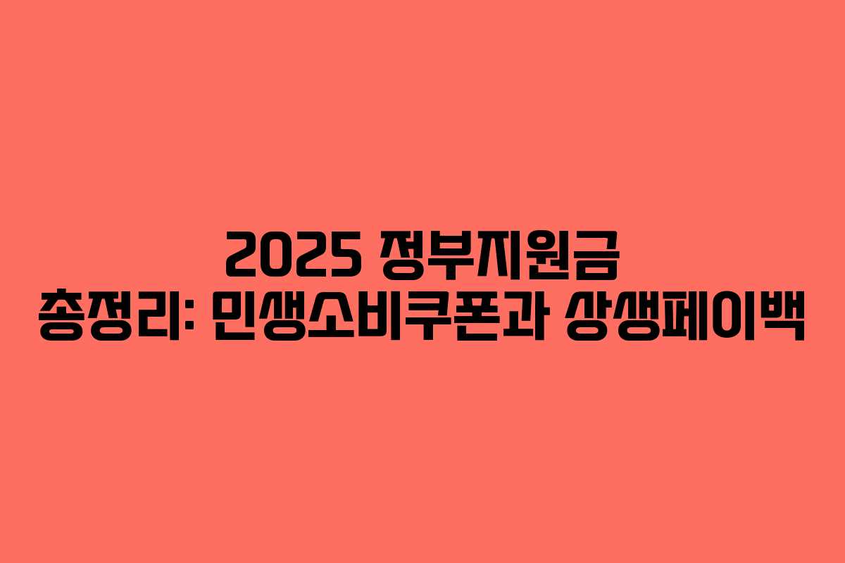 2025 정부지원금 총정리: 민생소비쿠폰과 상생페이백