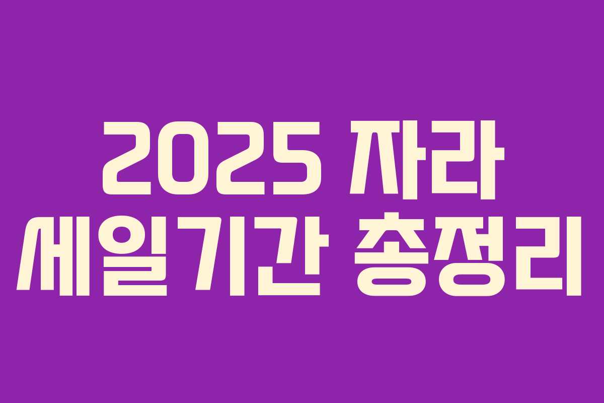 2025 자라 세일기간 총정리 2025 자라 세일기간 총정리