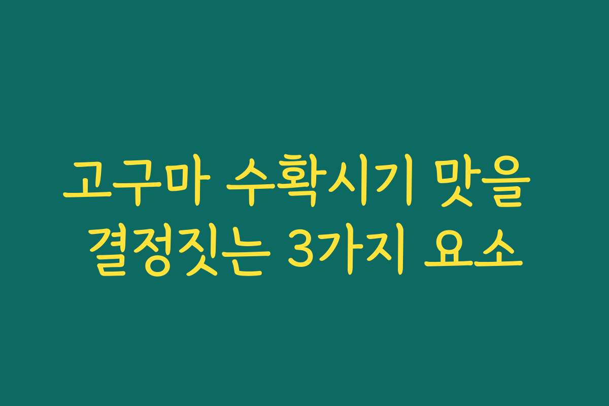 고구마 수확시기 맛을 결정짓는 3가지 요소