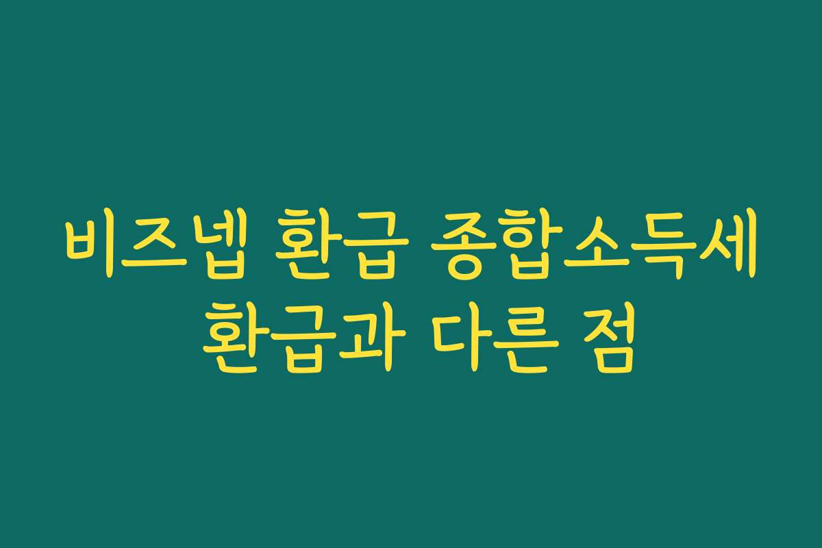 비즈넵 환급 종합소득세 환급과 다른 점