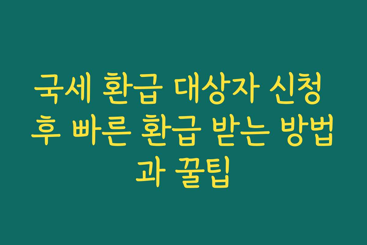 국세 환급 대상자 신청 후 빠른 환급 받는 방법과 꿀팁