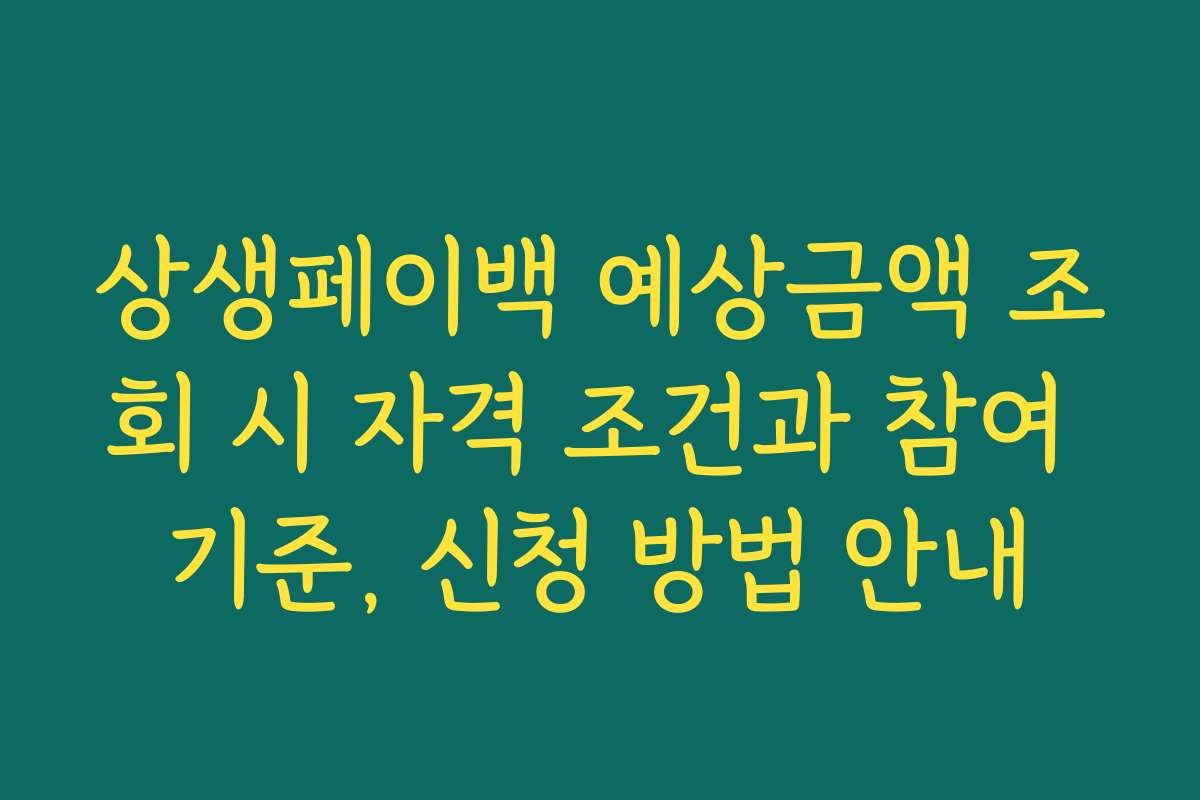 상생페이백 예상금액 조회 시 자격 조건과 참여 기준, 신청 방법 안내