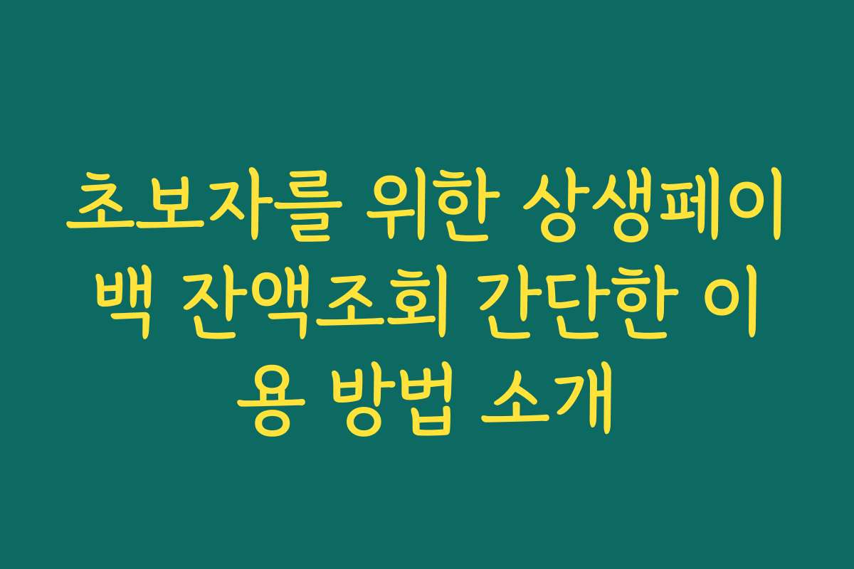 초보자를 위한 상생페이백 잔액조회 간단한 이용 방법 소개