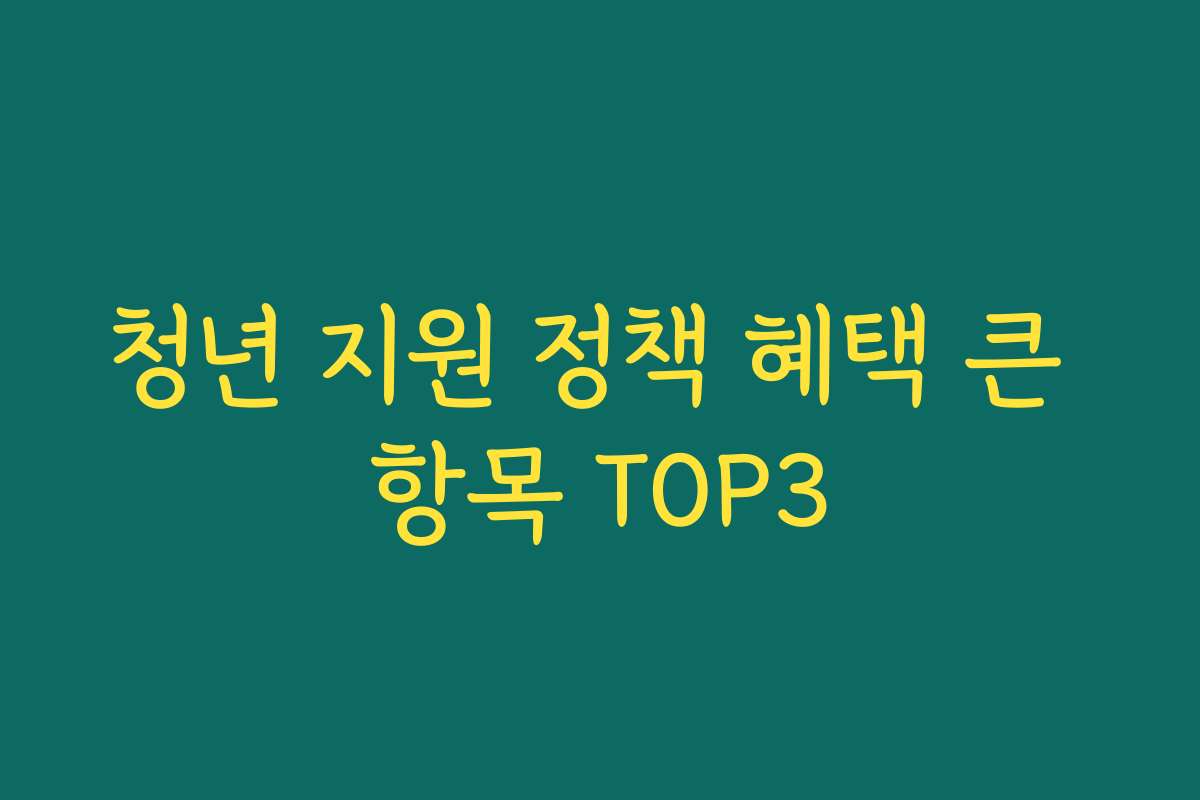 청년 지원 정책 혜택 큰 항목 TOP3