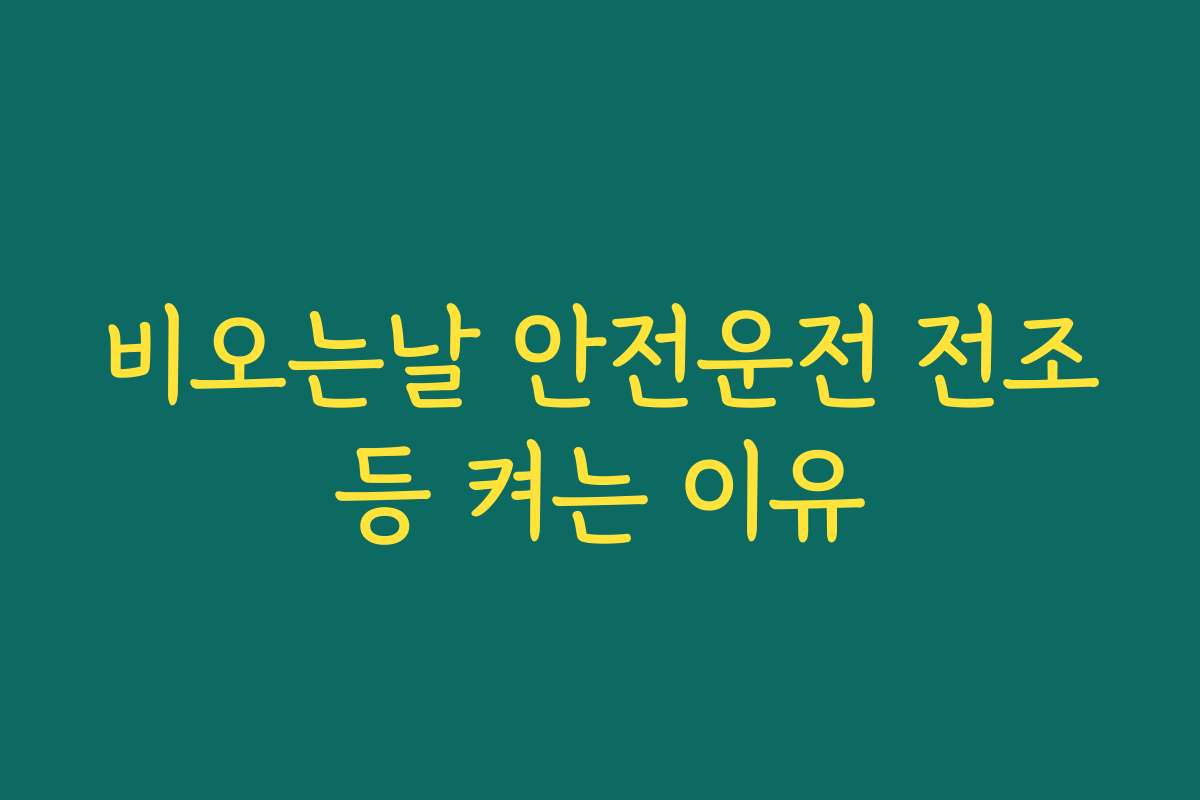 비오는날 안전운전 전조등 켜는 이유
