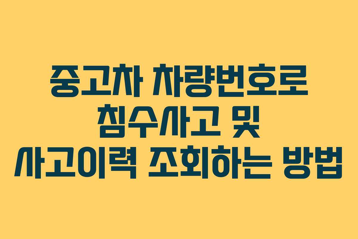 중고차 차량번호로 침수사고 및 사고이력 조회하는 방법 중고차 차량번호로 침수사고 및 사고이력 조회하는 방법