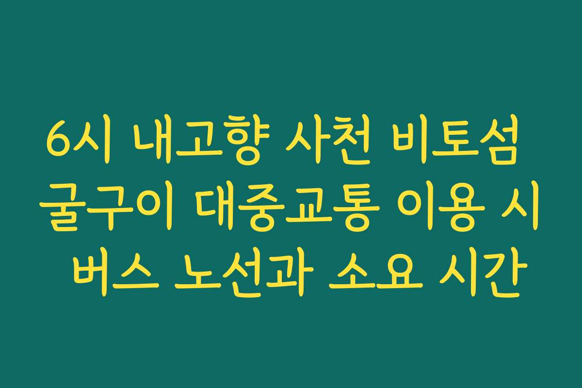 6시 내고향 사천 비토섬 굴구이 대중교통 이용 시 버스 노선과 소요 시간