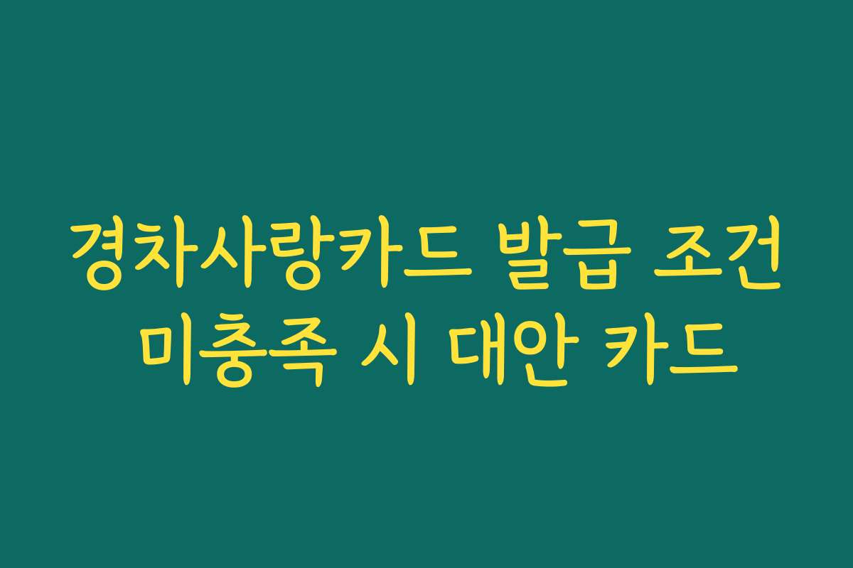 경차사랑카드 발급 조건 미충족 시 대안 카드
