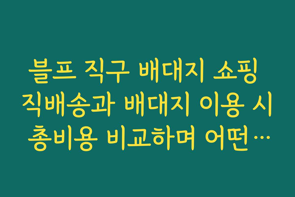 블프 직구 배대지 쇼핑 직배송과 배대지 이용 시 총비용 비교하며 어떤 방식이 유리한지 따져보기