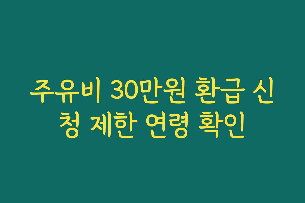 주유비 30만원 환급 신청 제한 연령 확인