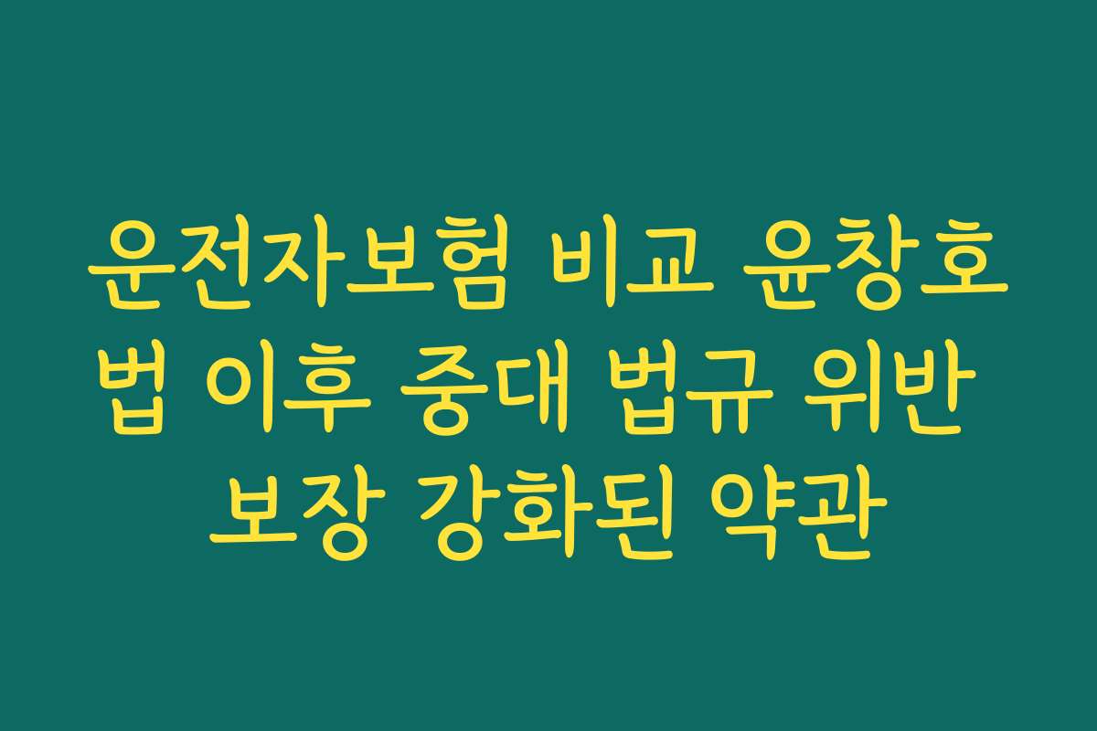 운전자보험 비교 윤창호법 이후 중대 법규 위반 보장 강화된 약관