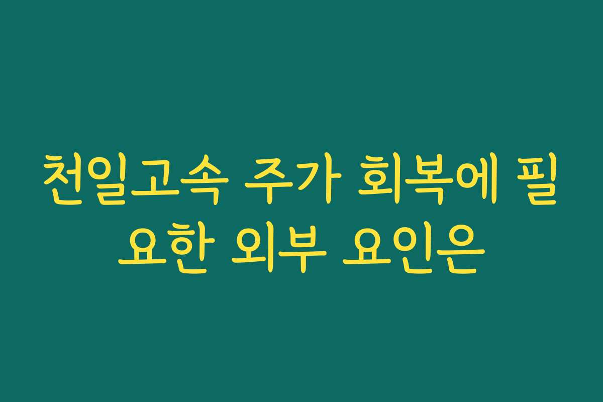 천일고속 주가 회복에 필요한 외부 요인은