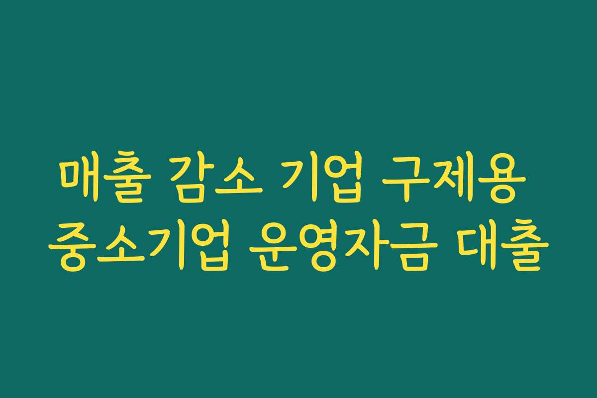 매출 감소 기업 구제용 중소기업 운영자금 대출