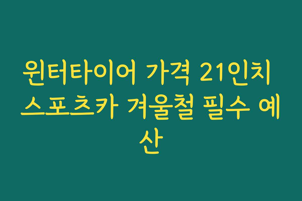 윈터타이어 가격 21인치 스포츠카 겨울철 필수 예산