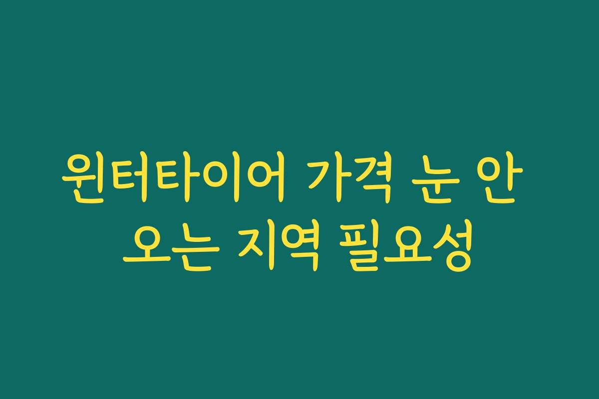 윈터타이어 가격 눈 안 오는 지역 필요성