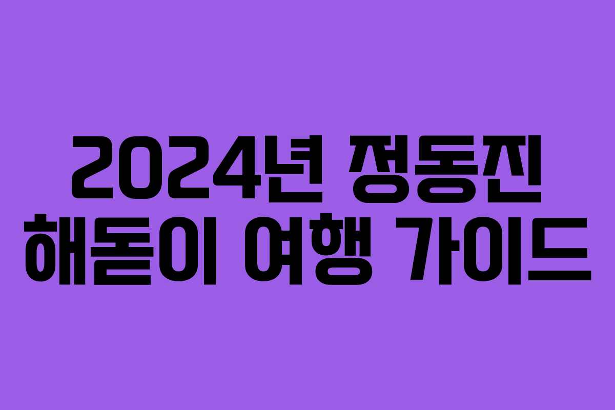 2024년 정동진 해돋이 여행 가이드