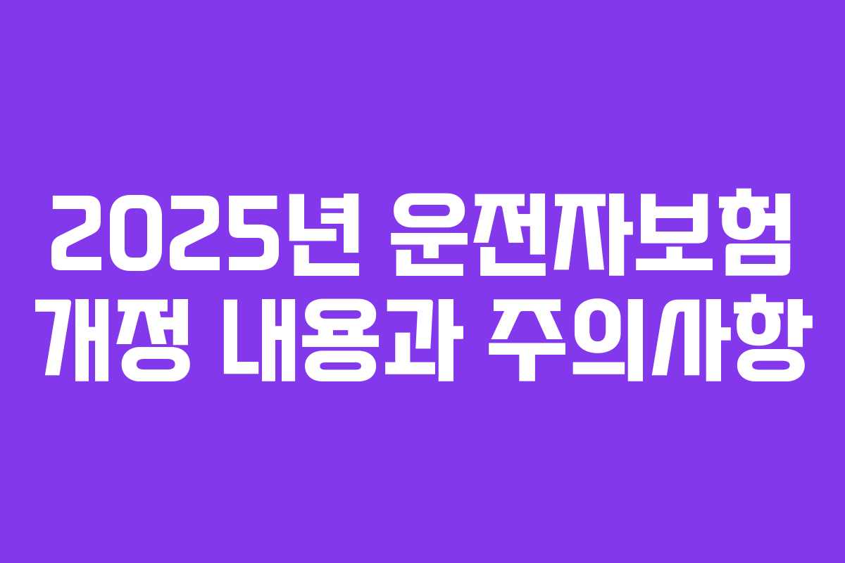 2025년 운전자보험 개정 내용과 주의사항