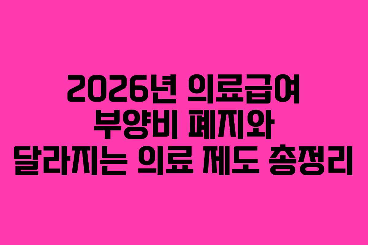 2026년 의료급여 부양비 폐지와 달라지는 의료 제도 총정리