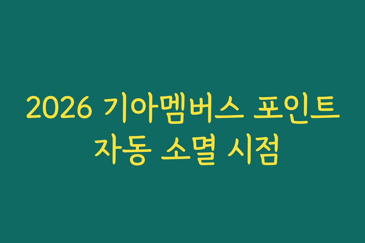 2026 기아멤버스 포인트 자동 소멸 시점