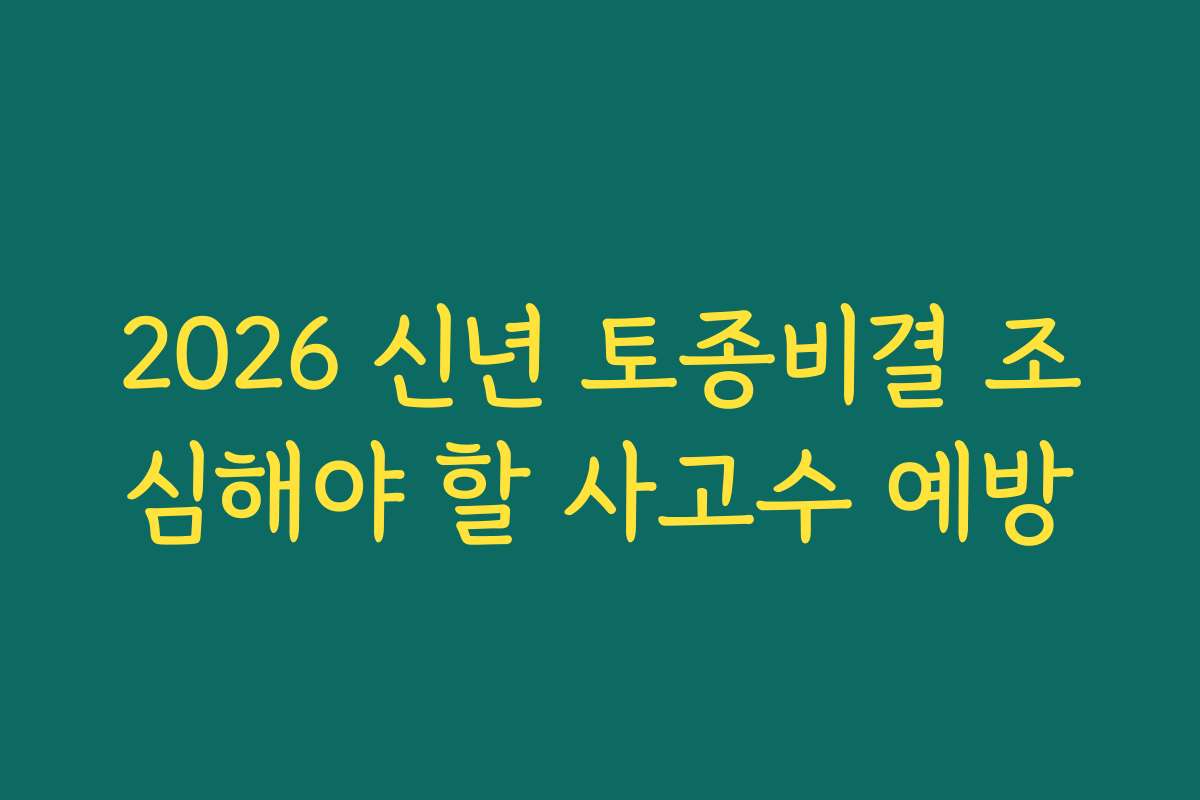 2026 신년 토종비결 조심해야 할 사고수 예방