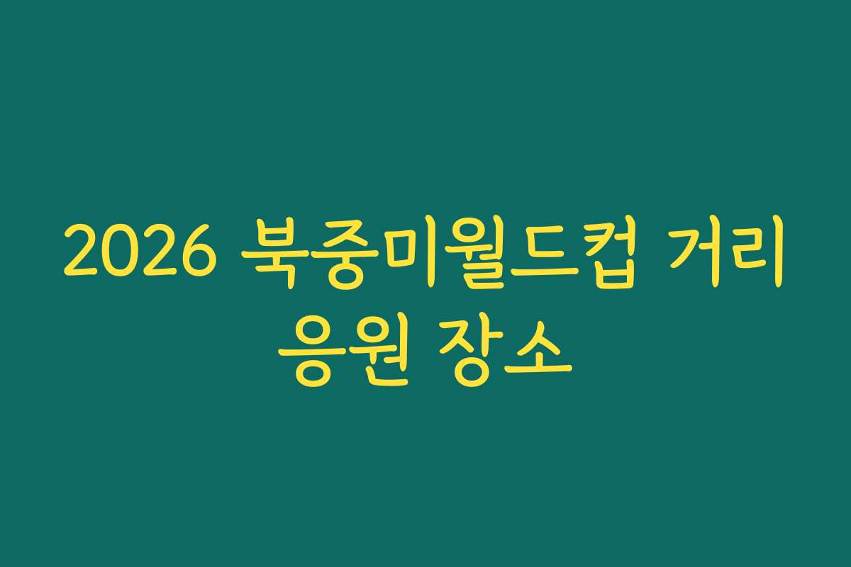 2026 북중미월드컵 거리응원 장소