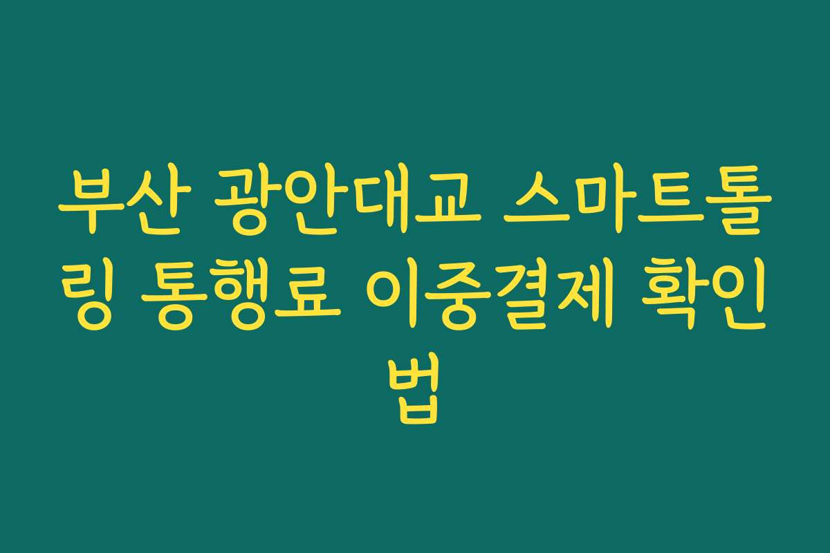 부산 광안대교 스마트톨링 통행료 이중결제 확인법