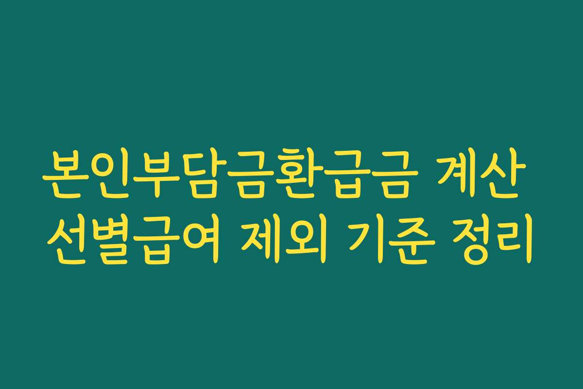 본인부담금환급금 계산 선별급여 제외 기준 정리
