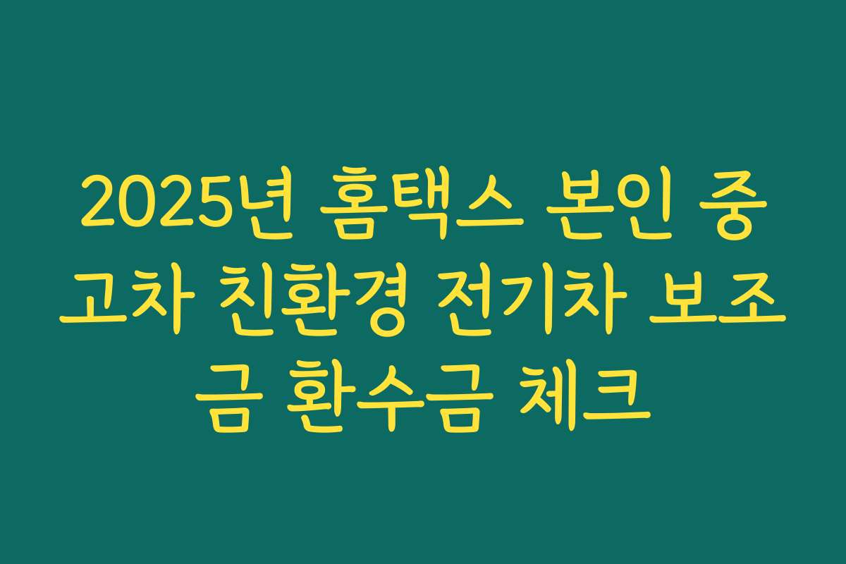 2025년 홈택스 본인 중고차 친환경 전기차 보조금 환수금 체크
