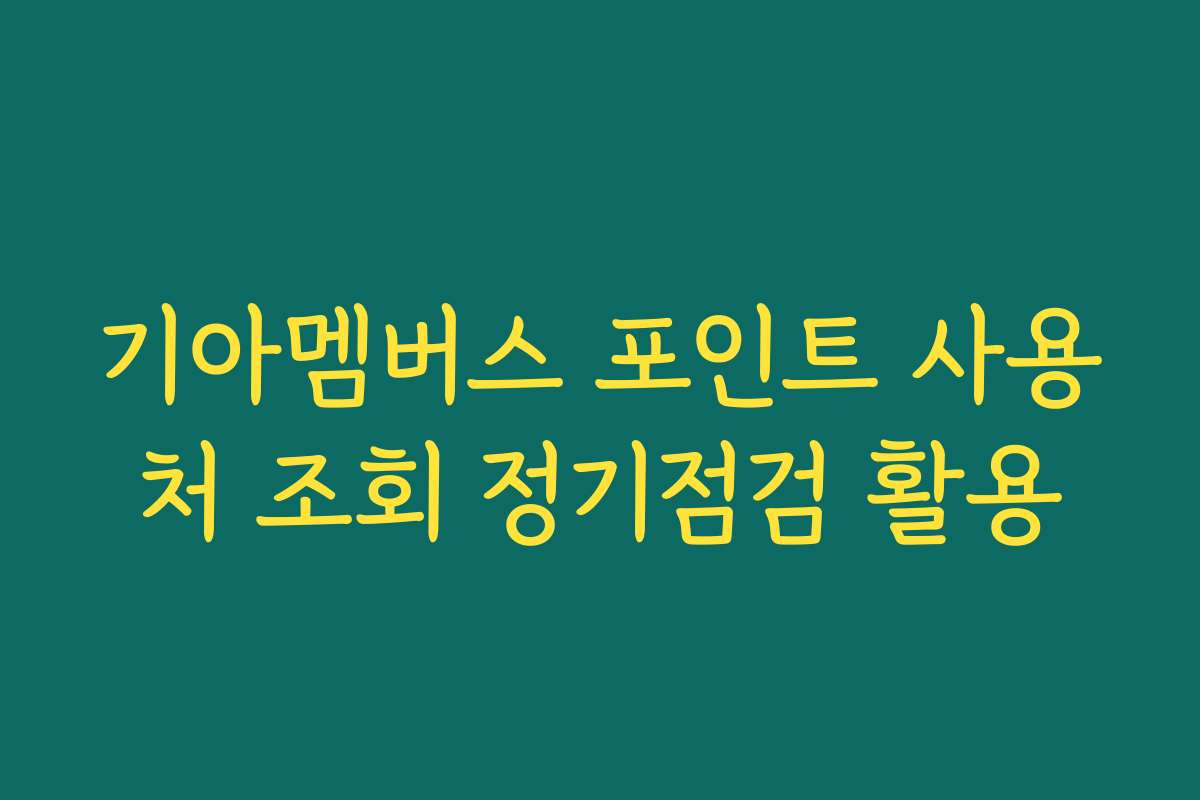 기아멤버스 포인트 사용처 조회 정기점검 활용