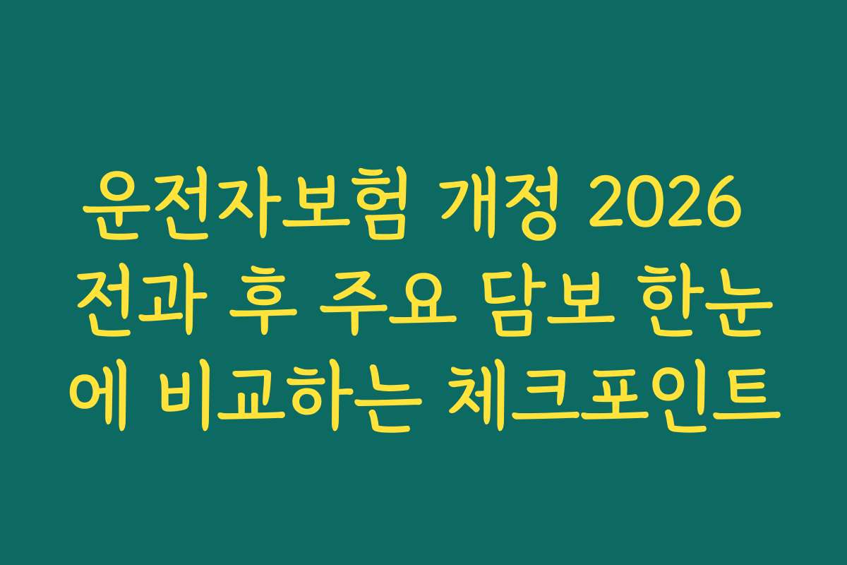 운전자보험 개정 2026 전과 후 주요 담보 한눈에 비교하는 체크포인트