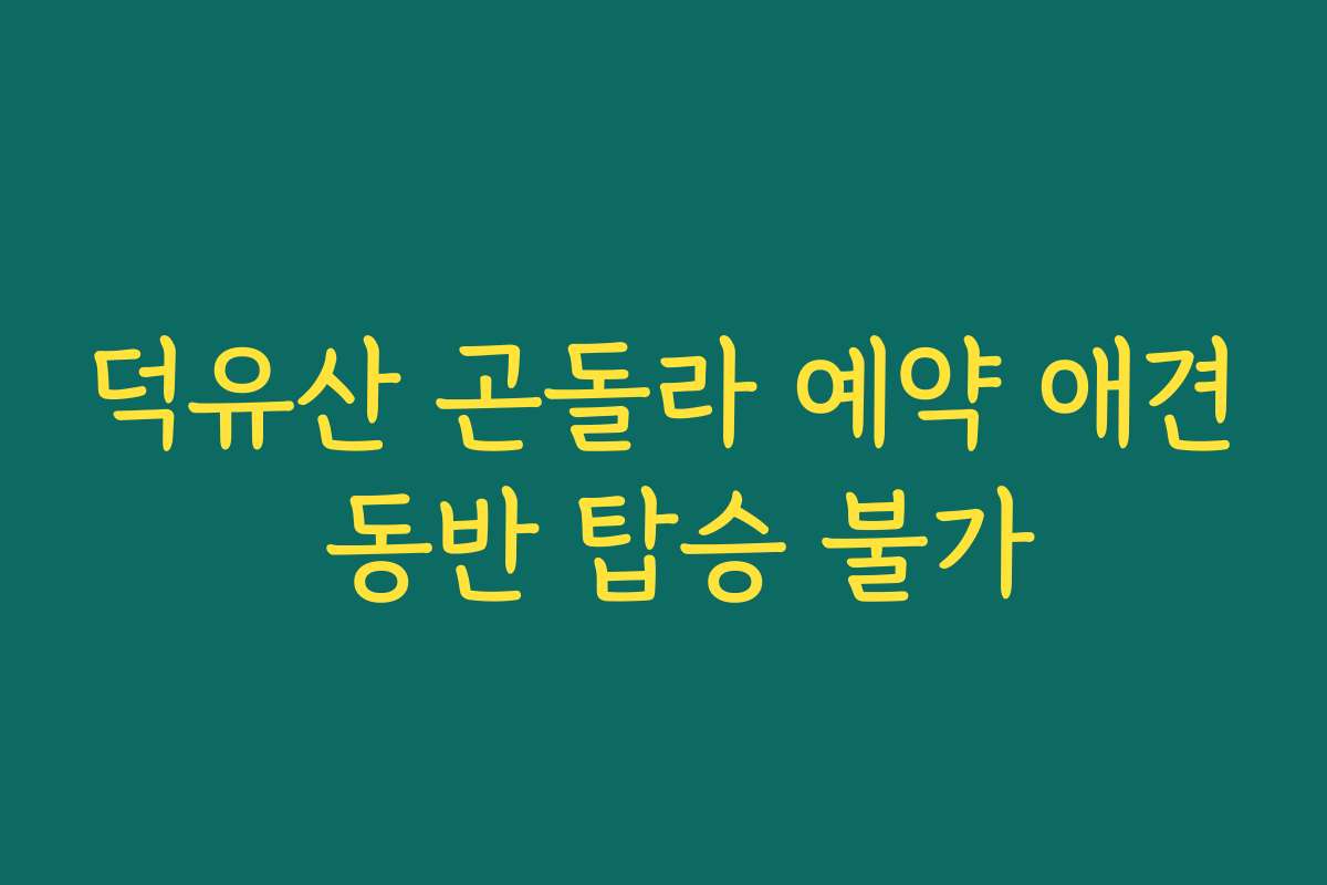 덕유산 곤돌라 예약 애견 동반 탑승 불가